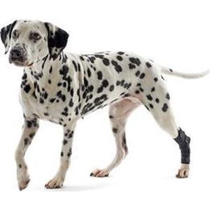 Kruuse - Rehab Tarsus Protector - Medium - Voor Labrador