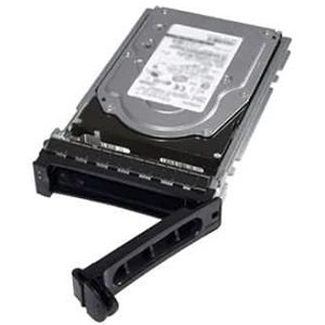 Dell - HD 6TB SAS Harde Schijf - 3.5 Inch - 7200 tpm