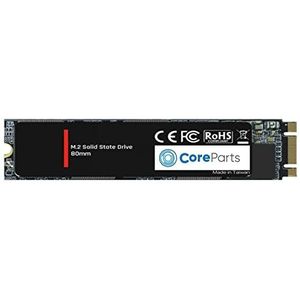 SSD - MicroStorage - 1TB - Snelle Prestaties - Duurzaam