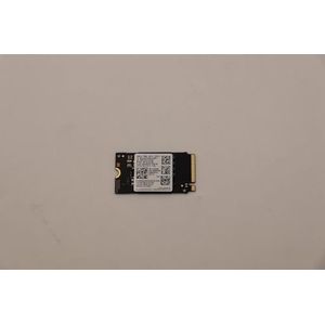 Lenovo - SSD - ASM - 5SS0W79529