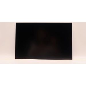 Lenovo - DISPLAY AUO 14.0 WUXGA AG - Onderdelen voor Notebooks - AG