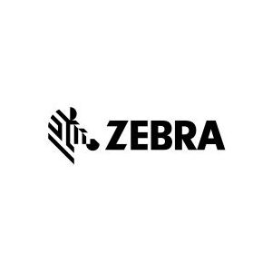 Zebra spare print head, 12 dots/mm (300 dpi) | P1112640-219