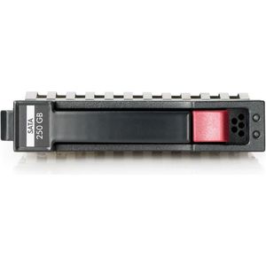 HP - 250GB SATA Harde Schijf - 3.5 Inch - 7200RPM