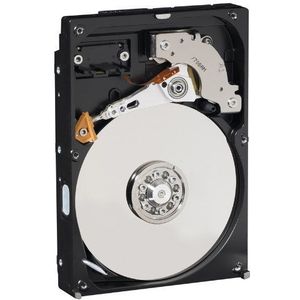 WD AV 250GB interne harde schijf 3,5 inch 7200RPM