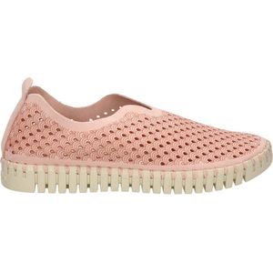Slipper 'Tulip3275'
