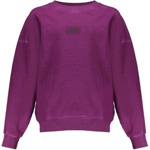 Frankie & Liberty Meisjes sweat shirt - Paris - Purple Pink
