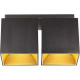 Ethan - 2 Plafondlamp - Zwart - GU10 - Kubusvormige Basis