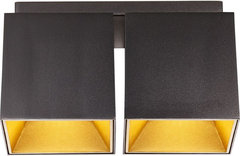 Ethan - 2 Plafondlamp - Zwart - GU10 - Kubusvormige Basis