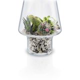 Eva Solo Succulent Vaas Transparant 15 cm