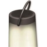 Denver - BTL-311 - Luidspreker - Zwart - Draagbaar - Draadloos - Bluetooth