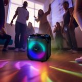 Denver Party Speaker BPS-250