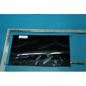 Lenovo Keyboard iwIL /AP101645, FRUSD68C05381