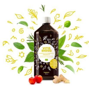 Vita Biosa Gember + vitamine C, 1 liter in biologische kwaliteit, extra portie gember voor de verfrissende smaak, gefermenteerde levensmiddelen op basis van melkzuurbacteriën en kruiden