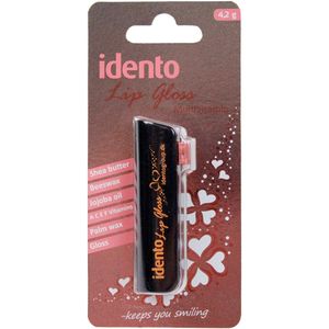 Idento Lip Gloss Multivitamin 4 g