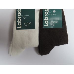 Sokken - 2 Pack - Unie- Wit , bruin - Effen - 21 /22