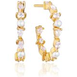 SIF JAKOBS JEWELLLERY ADRIA oorringen MEDIO EARRINGS SJ-E12235-PCZ-YG