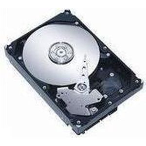 CoreParts 250 GB 3,5" SATA II 7200 U (0.25 TB, 3.5"), Harde schijf