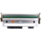 Zebra - ZM400 - Printkop - 12 dots/mm (300dpi)