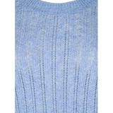 Zizzi - Winnie - Trui - Blauw