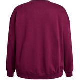 Zizzi - Mrikke - Sweatshirt - Blauw - Donkerlila