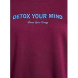 Zizzi - Mrikke - Sweatshirt - Blauw - Donkerlila