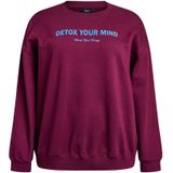 Zizzi - Mrikke - Sweatshirt - Blauw - Donkerlila