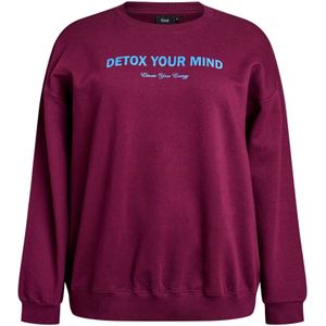 Zizzi - Mrikke - Sweatshirt - Blauw - Donkerlila