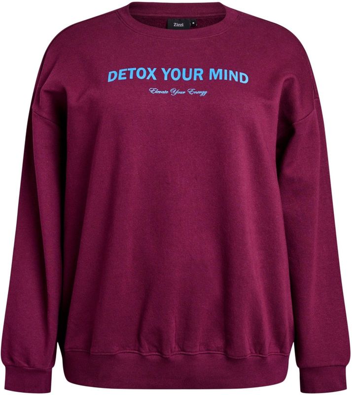 Zizzi - Mrikke - Sweatshirt - Blauw - Donkerlila