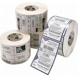 Zebra - PolyE 3100T Gloss - Labels - 148 x 210 mm - 4 Rollen