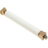 Zebra - Voeding - Intern - 80 Watt