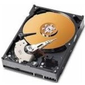 MicroStorage 40 GB IDE 3,5 inch 3,5 inch 40 GB IDE/ATA harde schijf - harde schijf (3,5 inch, 40 GB, 7200 rpm)