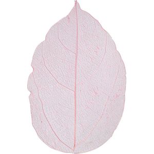 Skeleton Leaves - Skeletbladeren - Dunne Geperste Bladeren - Decoratie - Lichtrood - Lengte: 6-8 cm - 20 stuks