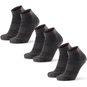 DANISH ENDURANCE Merino Wandelsokken - Laag Uitgesneden - Anti-Blaar - Grijs - 3 Paar