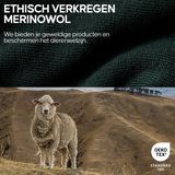 DANISH ENDURANCE - Thermolegging - Donkergroen - Merino Wol - Thermobroek