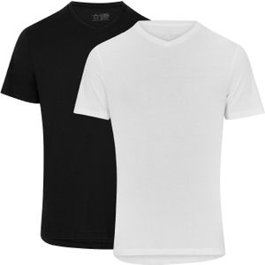 DANISH ENDURANCE T-Shirt voor Heren - V-Neck - Wit en Zwart - 2 pack