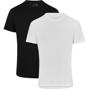 DANISH ENDURANCE T-Shirt voor Heren - V-Neck - Wit en Zwart - 2 pack
