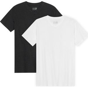 DANISH ENDURANCE T-Shirt voor Heren - V-Neck - Wit en Zwart - 2 pack