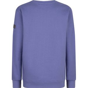 Indian Blue jongens sweater Purple