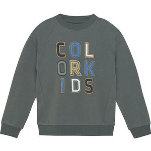 COLOR KIDS Trui ' COSweat W. JR. Logo Print '  groen