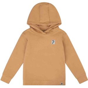 DAILY7 Hoodie Backprint D7 Truien & Vesten Jongens - Sweater - Hoodie - Vest- Bruin