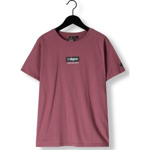 Indian Blue Jeans T-shirt Ibjns Polo's & T-shirts Jongens - Polo shirt - Roze - Maat 110