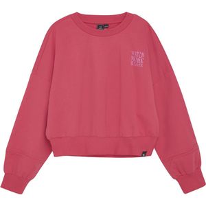 Indian Blue Zomer Sweater Meisjes - Roze - Loose Fit Print