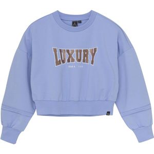 Indiaas Blue Jeans Sweatshirt - Paasei m. Print - Indian Blue Jeans - 12 jaar (152) - Sweatshirt