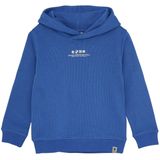 DAILY7 - Hoodie Backprint - Hoodie - Blauw