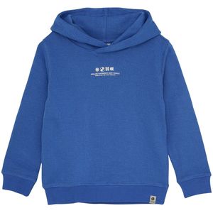 DAILY7 Hoodie Backprint Truien & Vesten Jongens - Sweater - Hoodie - Vest- Blauw - Maat 122
