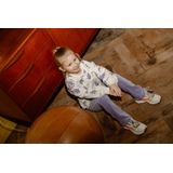 Daily7 - Flared Broek - Paars - Comfortabel voor Dagelijks Gebruik