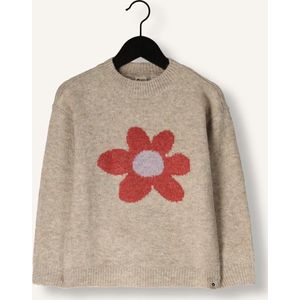 Daily7 - Trui - Met Bloemenprint - Ronde Hals - Lange Mouwen