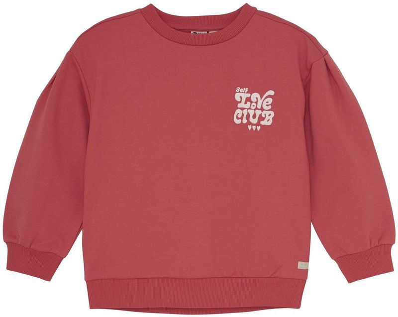 Daily7 - Sweater - Zacht Katoen - Ronde Hals - Lange Mouwen - Stoere Backprint