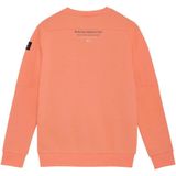 Indian Blue Jeans - Sweater Chest Print Brushed - Koraal - Hoodie - Vest