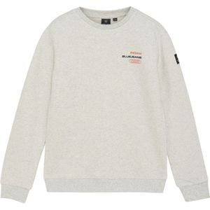 Indian Blue Jeans - Loose Fit Sweat Melange - Hoodie - Lichtgrijs